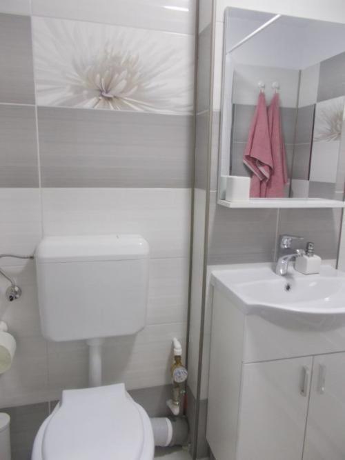 Apartament Tanya Targoviste Exteriör bild